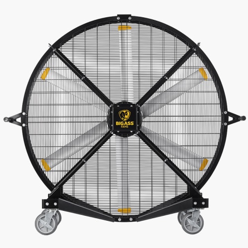Fans Rogue Fitness